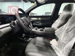 بي واي دي ‎سونغ برو DM-i